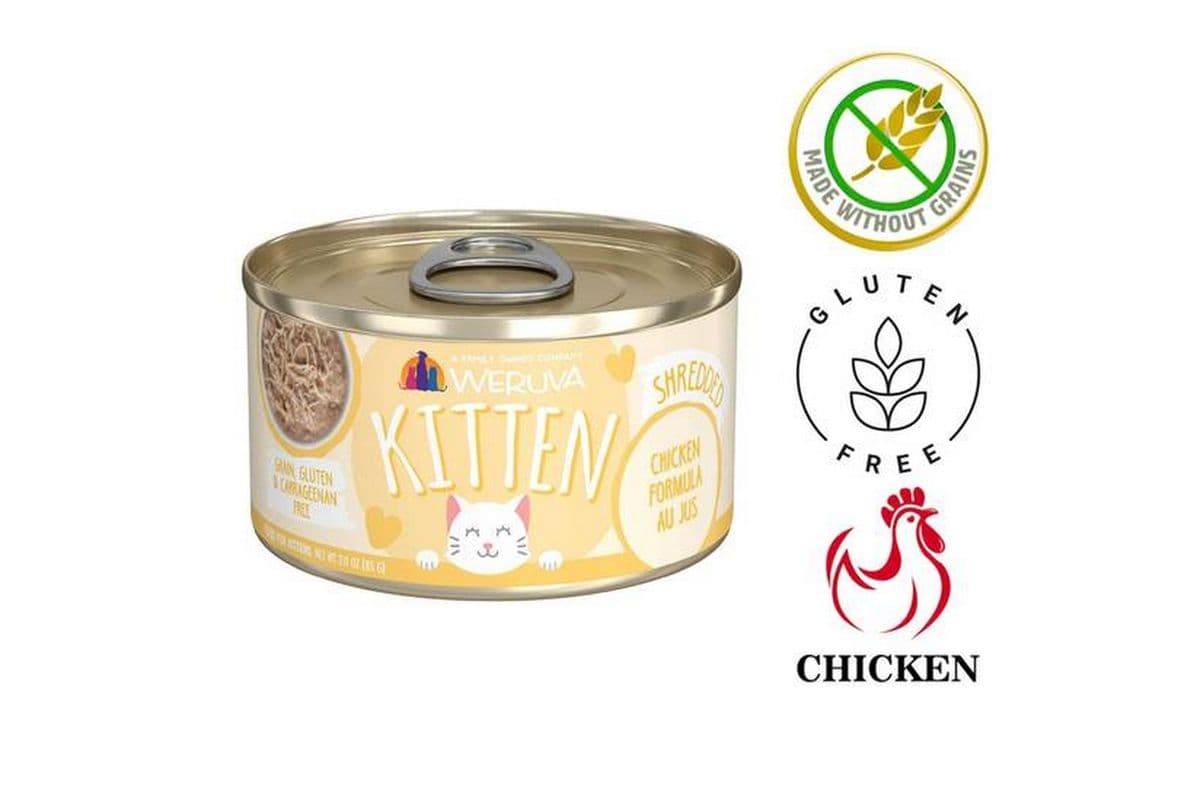 Weruva - Kitten Chicken Au Jus Canned Cat Food (3 oz)