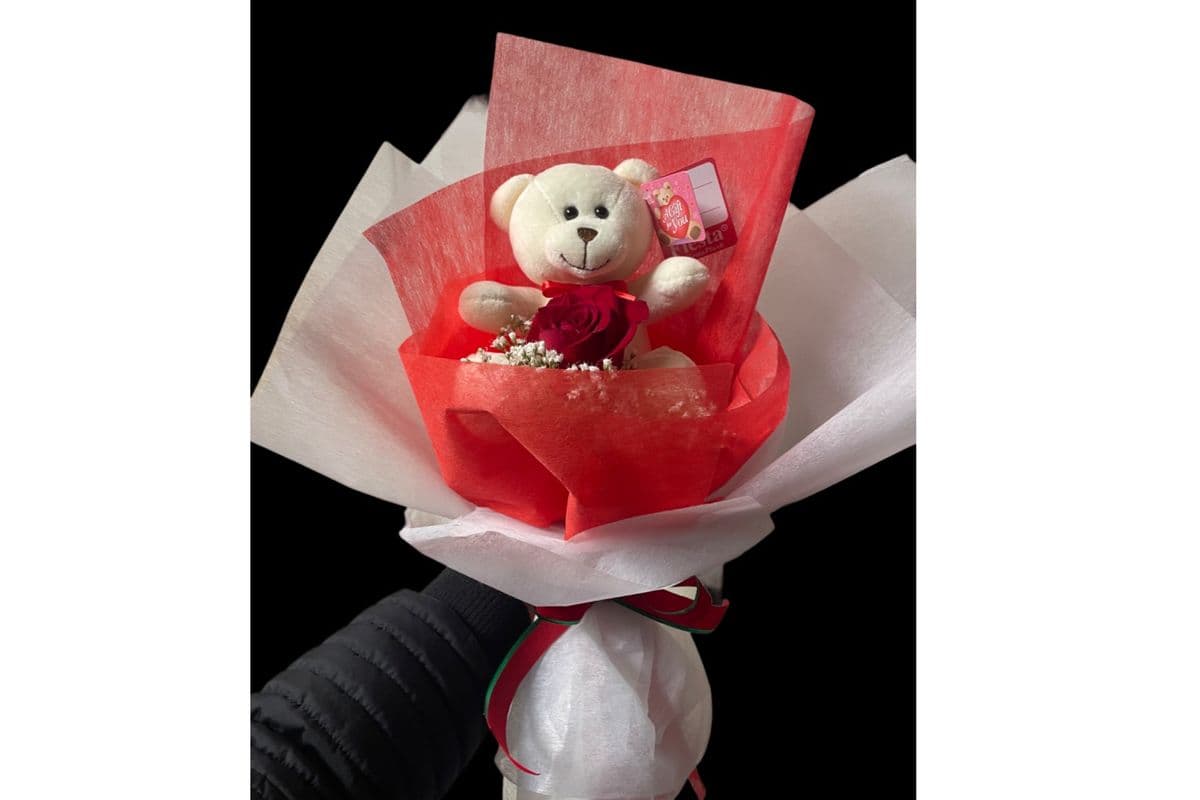 Lovely Teddy 12