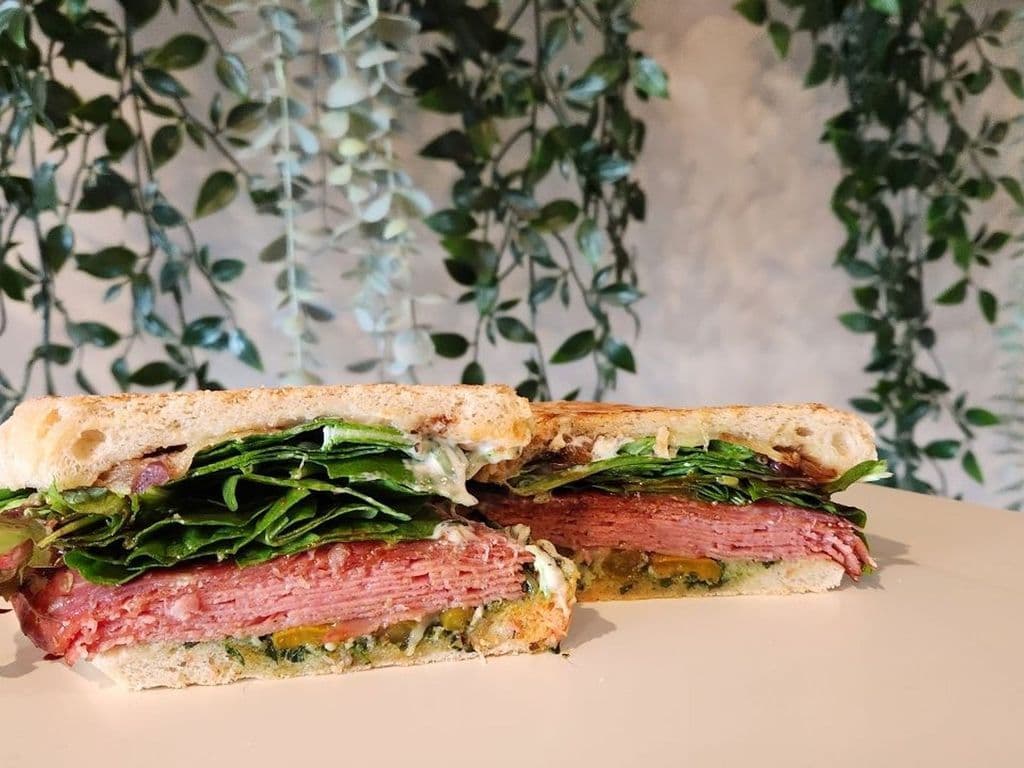 The Italian Stallion AKA Handsome Panini