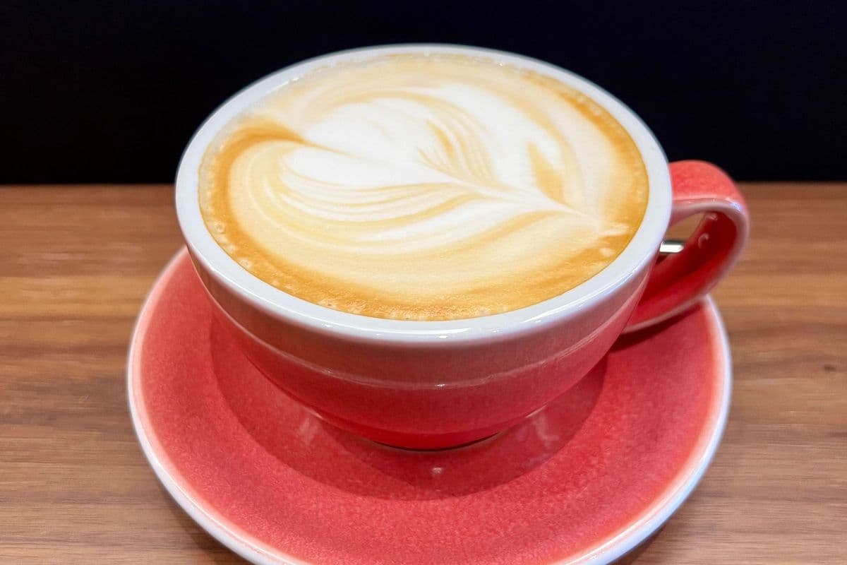 Latte (Hot)