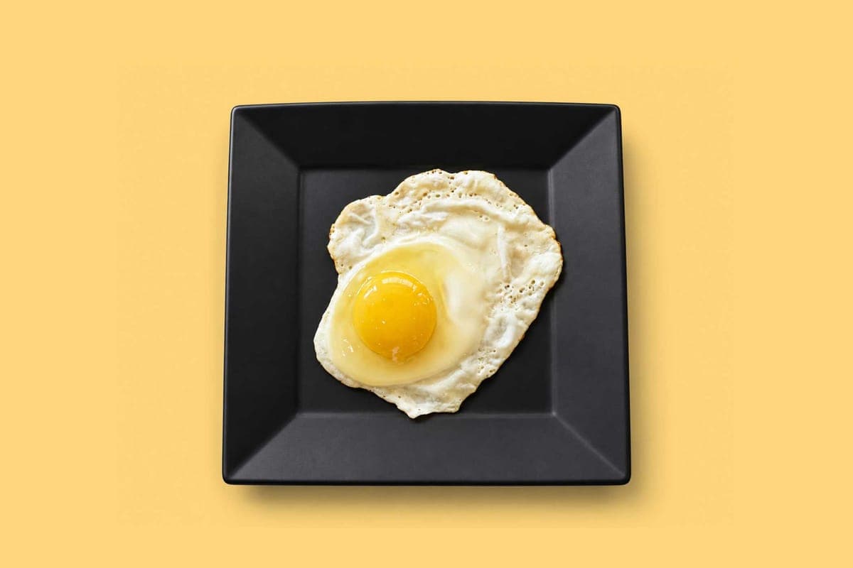 Extra Egg