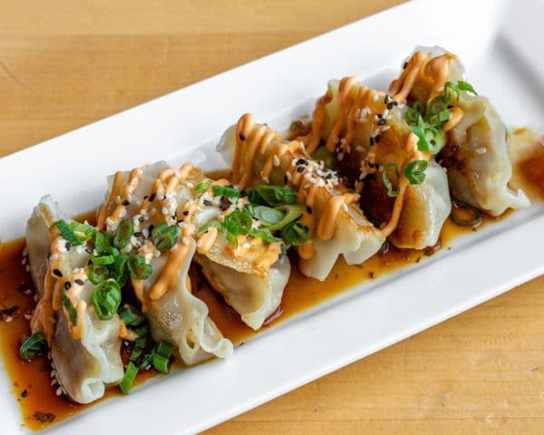 Chicken and Vegetable Potstickers