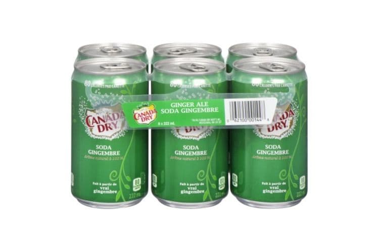 Canada Dry Ginger Ale Sleek Cans (222 ml)