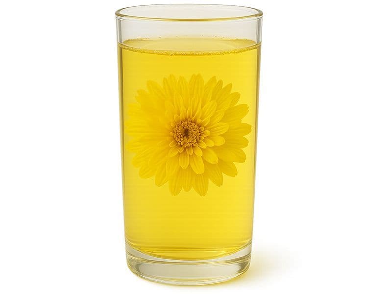 Golden Chrysanthemum Herbal Tea 金丝黄菊茶