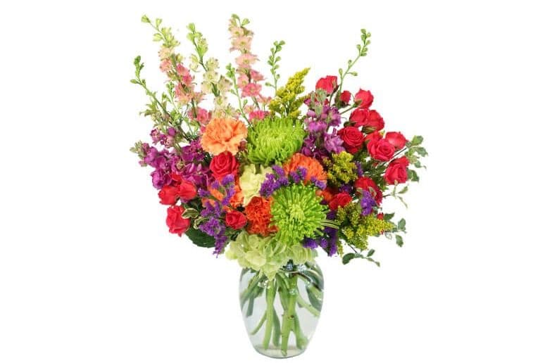 Colorful Blooms