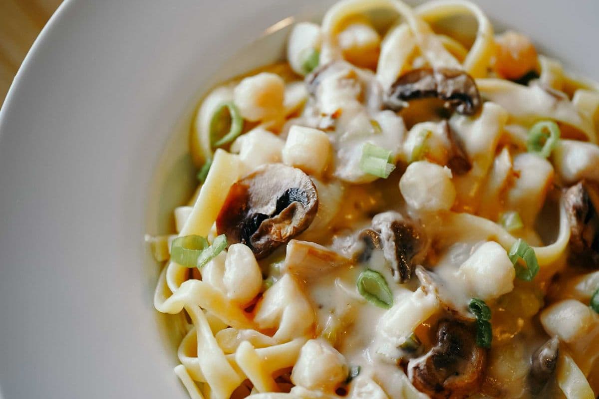 Small Alfredo Scallop Pasta