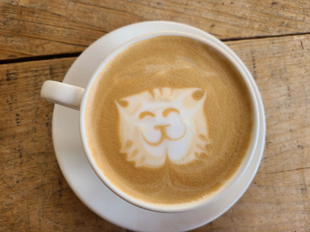 Dirty Chai