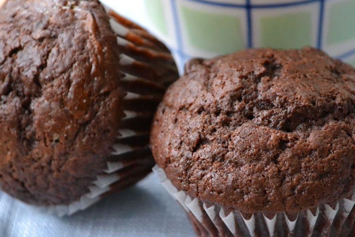 Chocolate Muffin