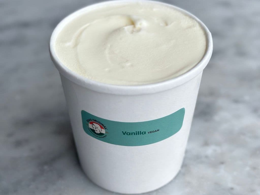 Vegan Vanilla Ice Cream