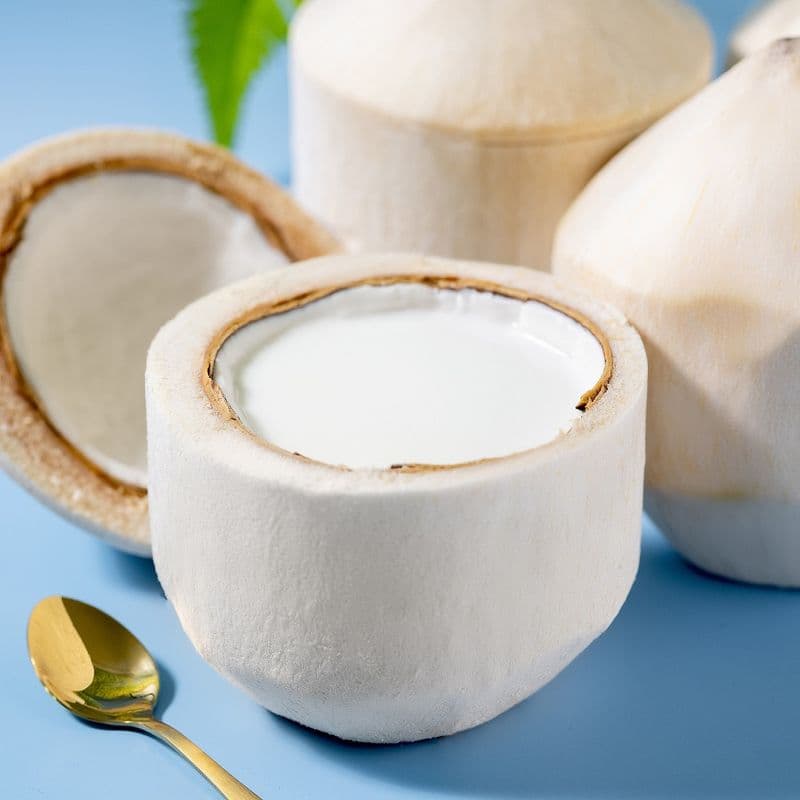 Classic Coconut Pudding(BOGO) 原味椰子冻 (BOGO)