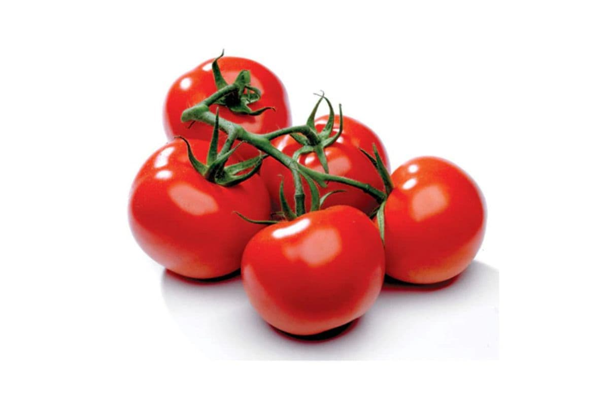 Vine Tomatoes