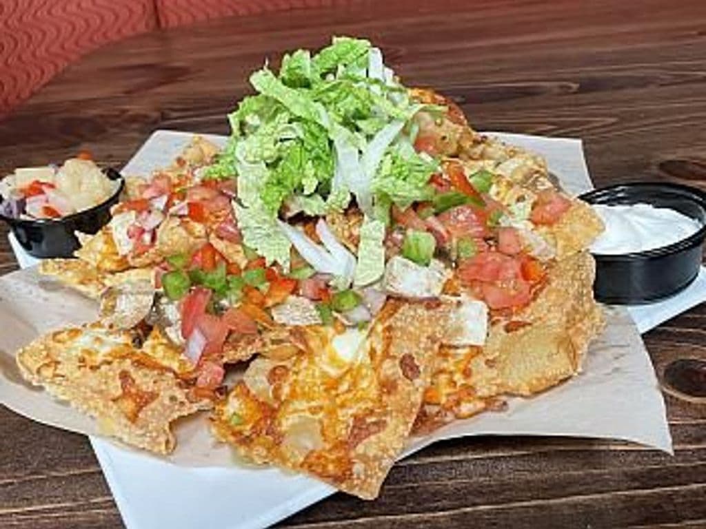 Wonton Nachos Veg