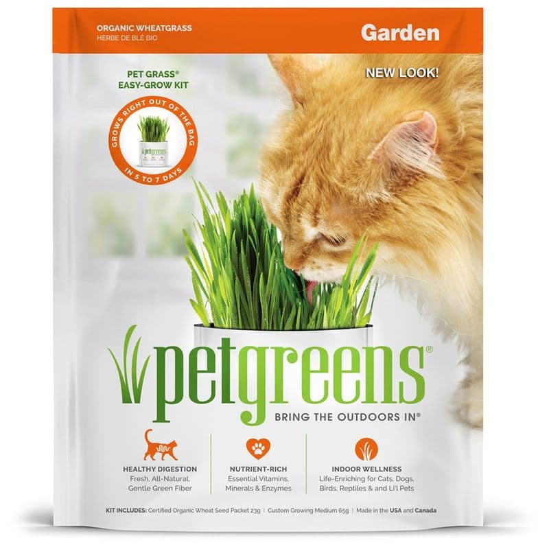 Pet Greens Wheat Grass Self Grow Cat Grass Kit 113g