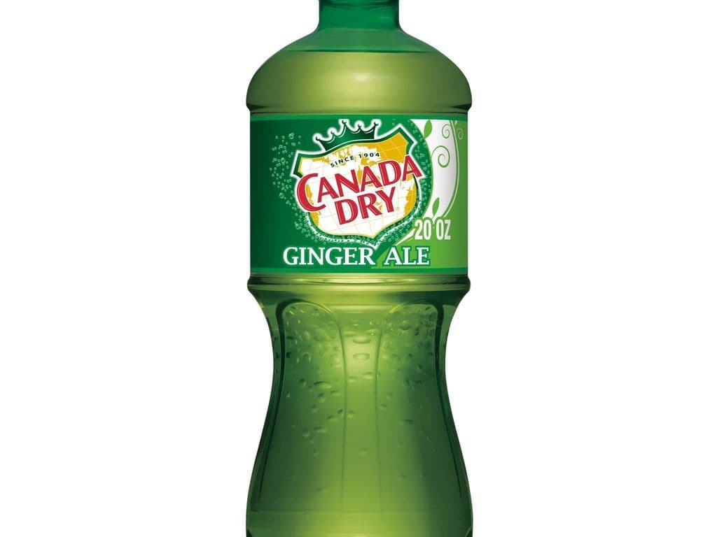 Ginger Ale (591ml)