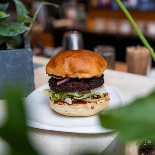 Plant-Based Burger