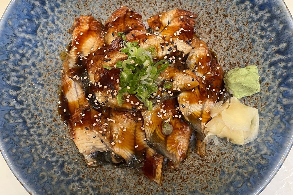 Unagi Donduri