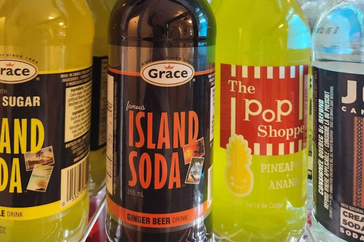 Island Soda Ginger Beer (355ml)