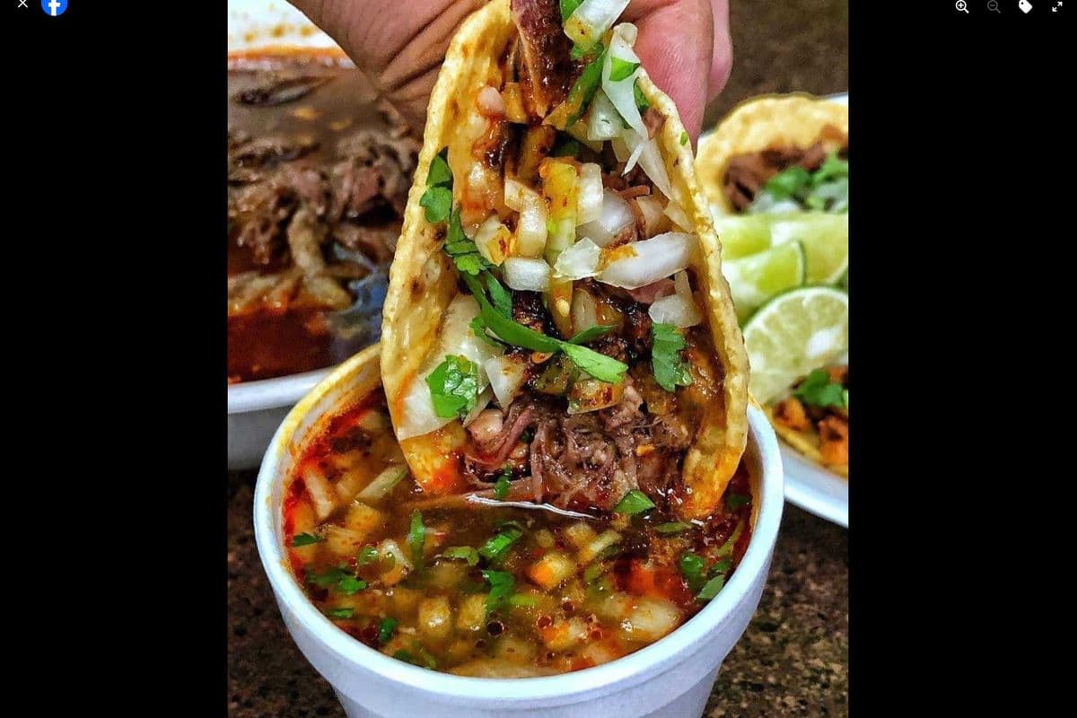 Barbacoa Combo Tacos