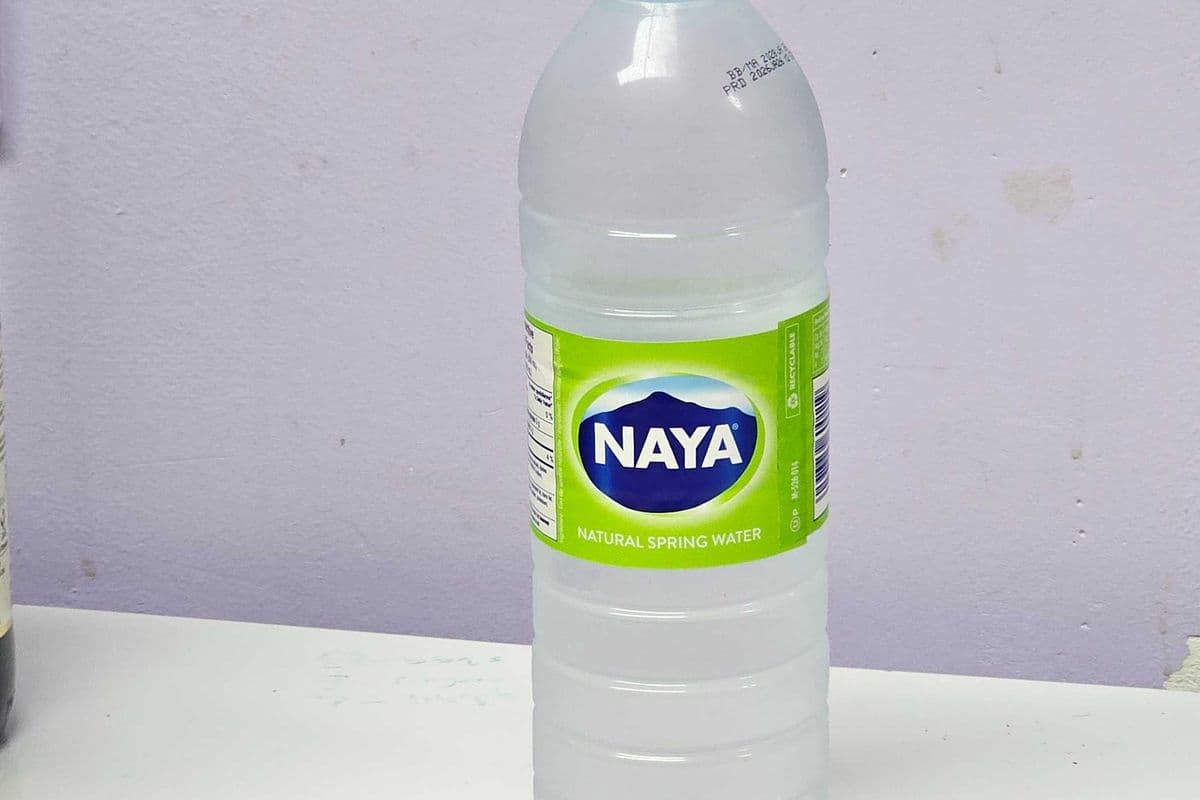 Naya Bottled Water (600 ml)