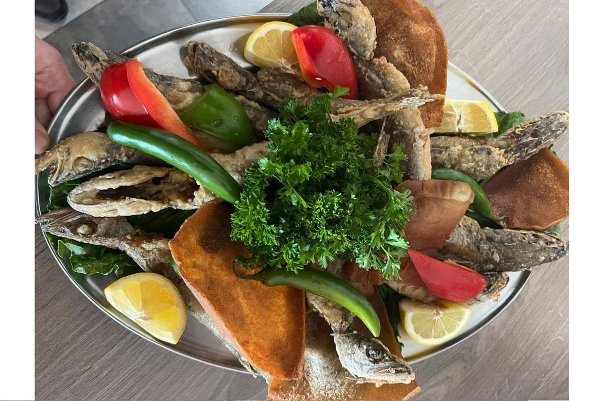 White Fish
