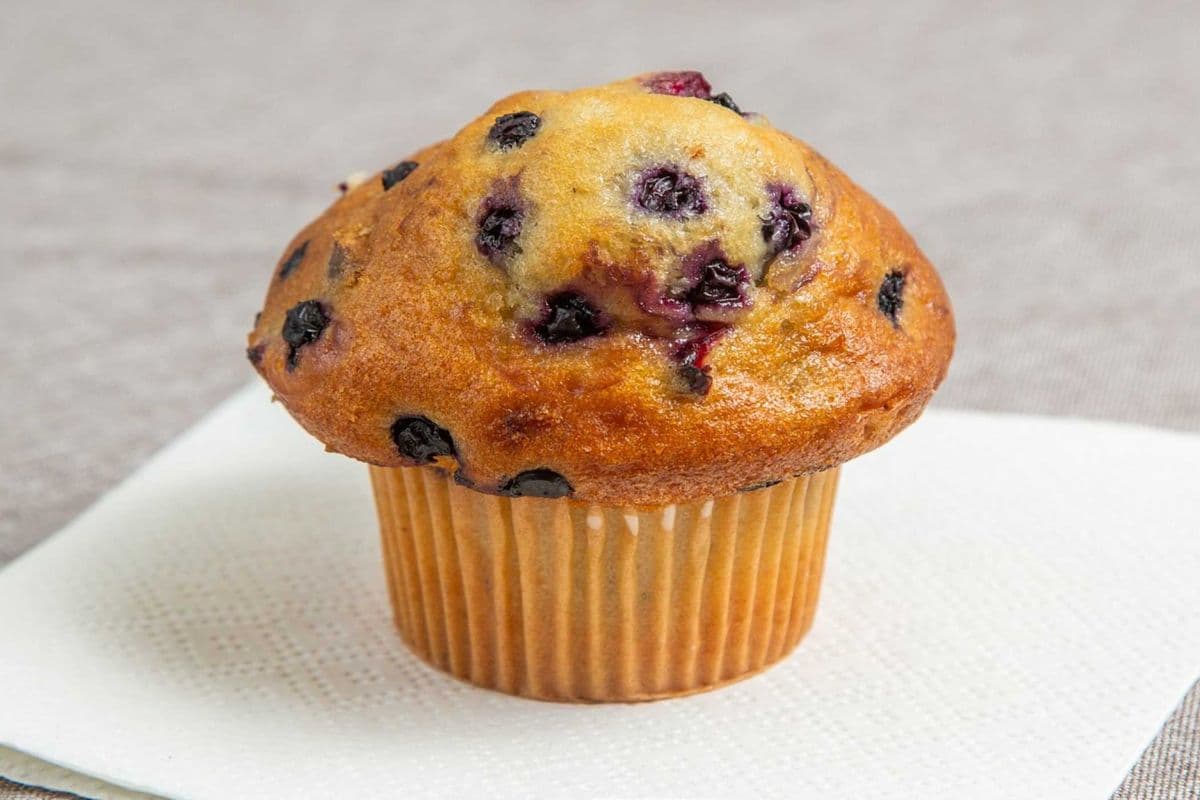 Berry Medley Muffin