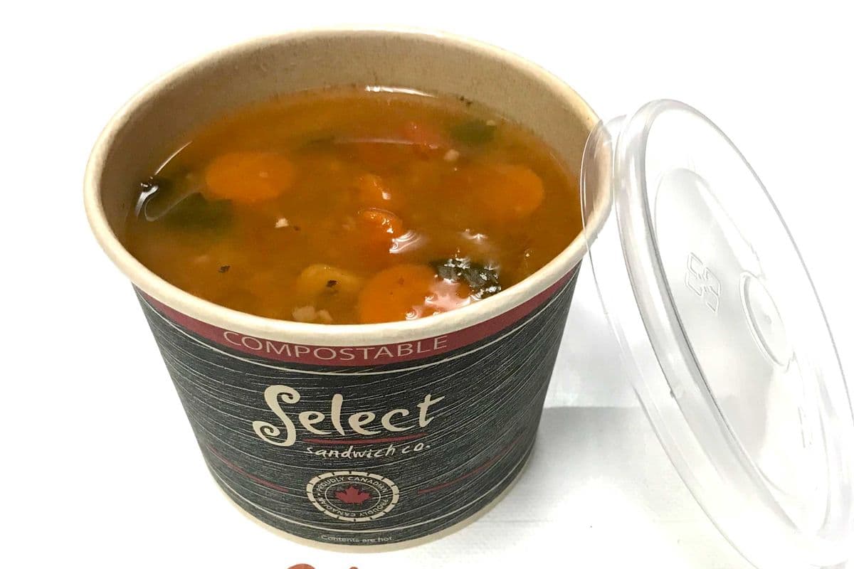 Daily Soup