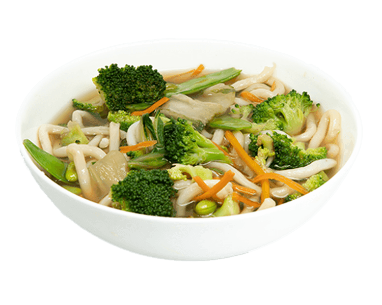 Vegetable Udon Soup