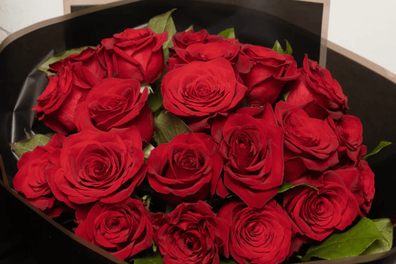 Roses rouges / Red Roses