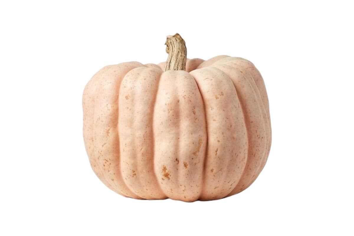 Muted Peach-Blush Pumpkin - Large