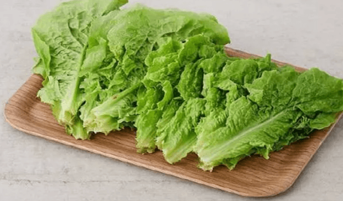Laitue / Lettuce