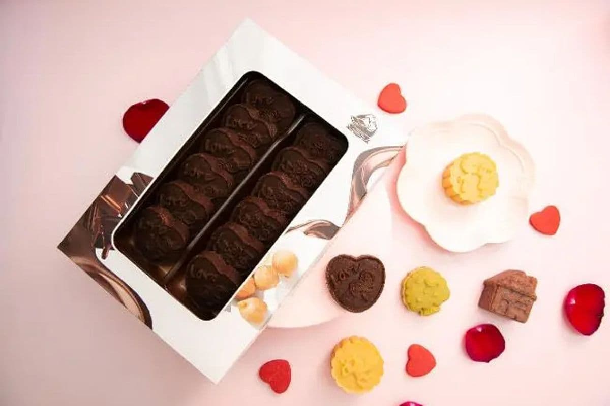 Boutique Gift Box Chocolate Chickpea Cake 精品礼盒巧克力鹰嘴豆糕