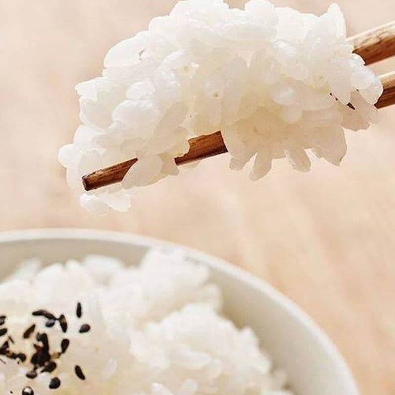 Riz / Rice