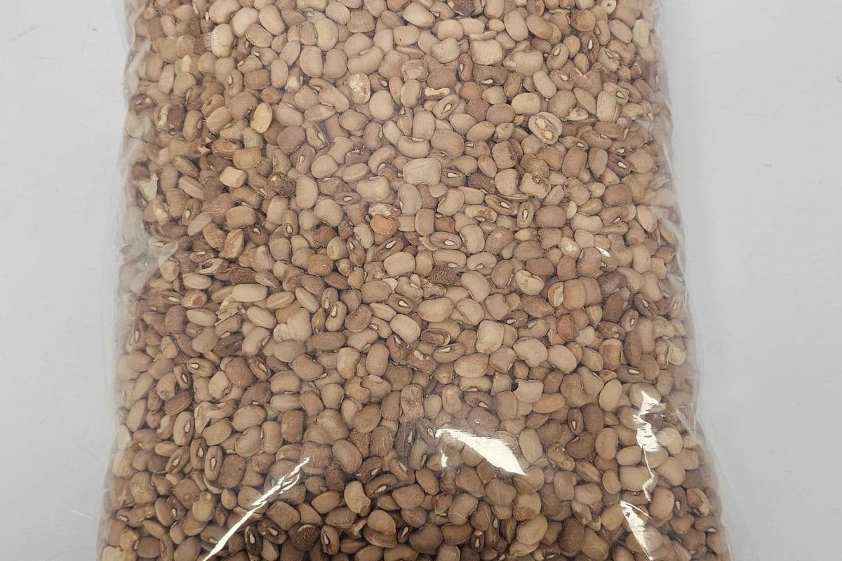 Honey Beans (5 lbs)