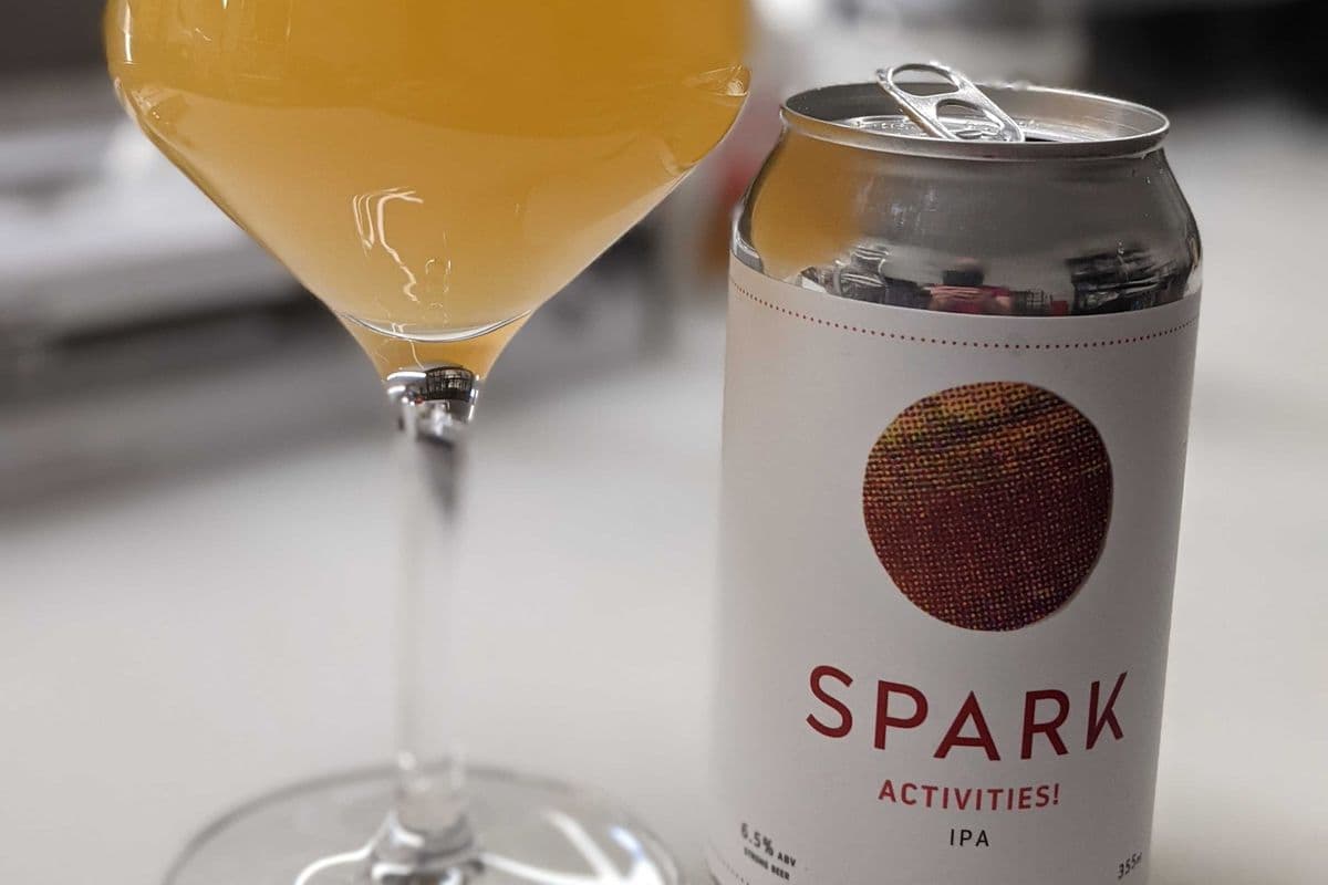 Activities! IPA (6 x 355 ml)