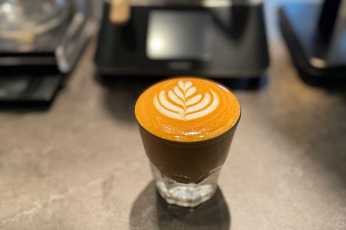 Cortado (8 oz)