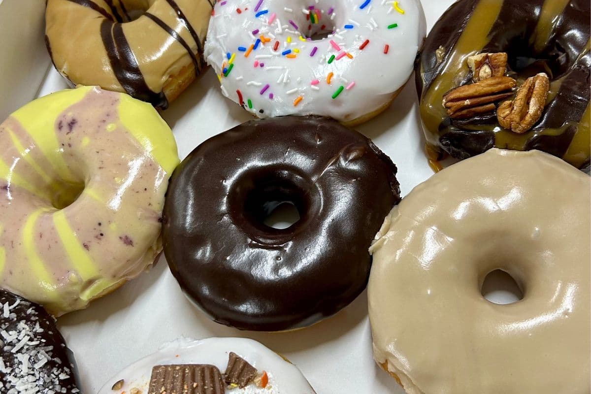 Donut - 12 PACK