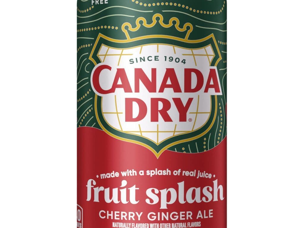 CANADA DRY (355ml) - Fruit Splash