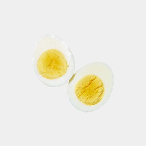 Œuf / Egg