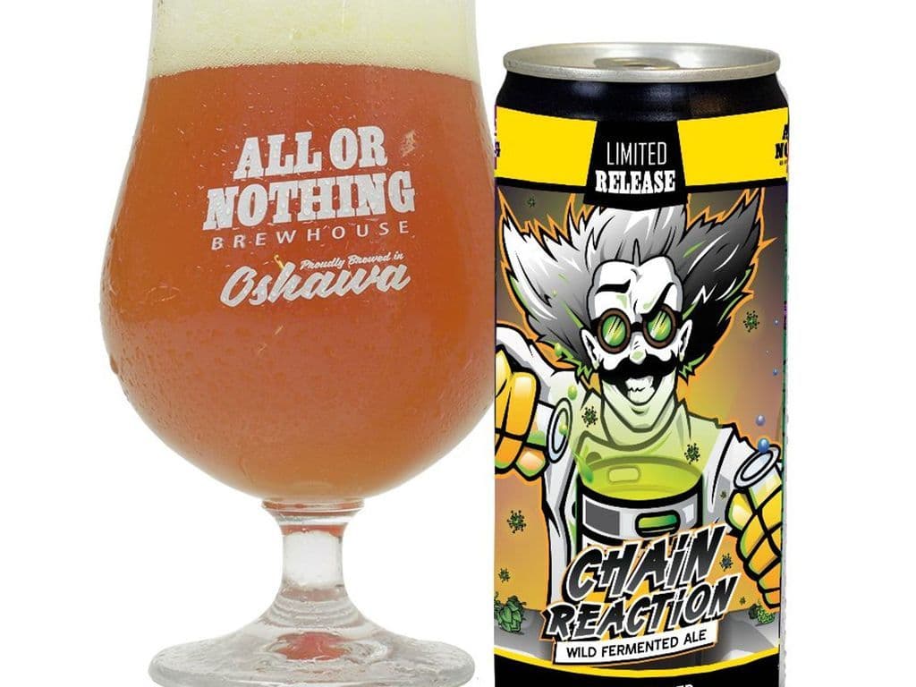 Chain Reaction- Wild Fermented Ale- 296 ml- 5%abv