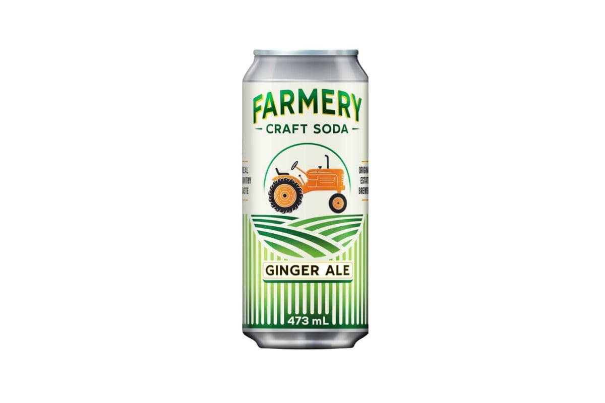 PAIR - Ginger Ale Craft Soda 2 x 473ml (473ml)