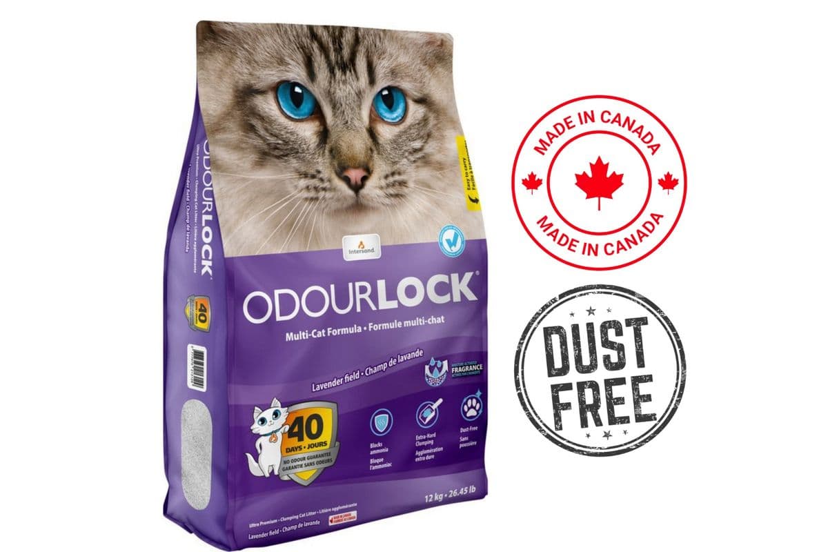 OdourLock Ultra Premium Lavender Clumping Cat Litter (12 kg)