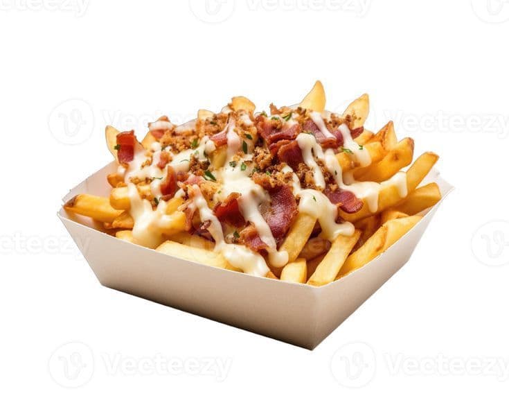 Halal Chicken Poutine Size Large