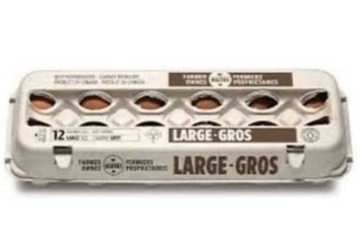 Nutri · Large Brown Eggs (12 eggs)