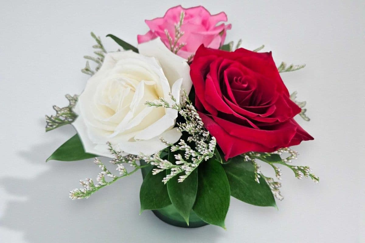 Rose Garden