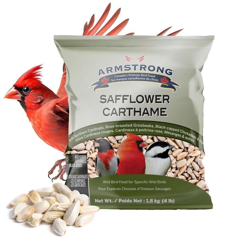 Armstrong Wild Bird Food Safflower Bird Seed 4lbs