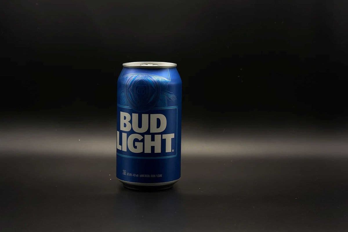 Budlight (1 x 341ml)