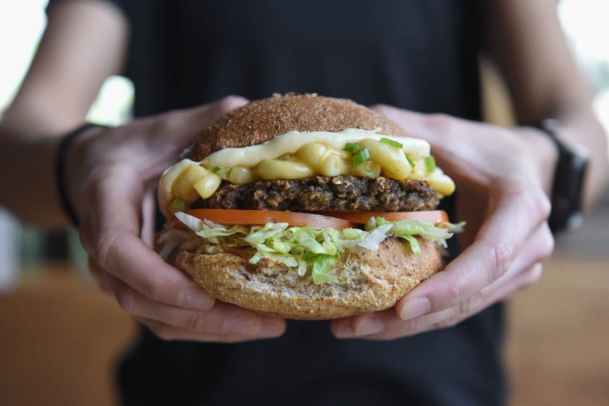 Macaroni and Cheese Burger