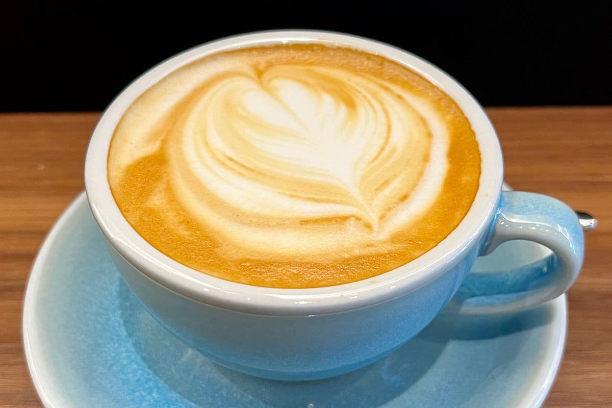 Cappuccino (Hot)