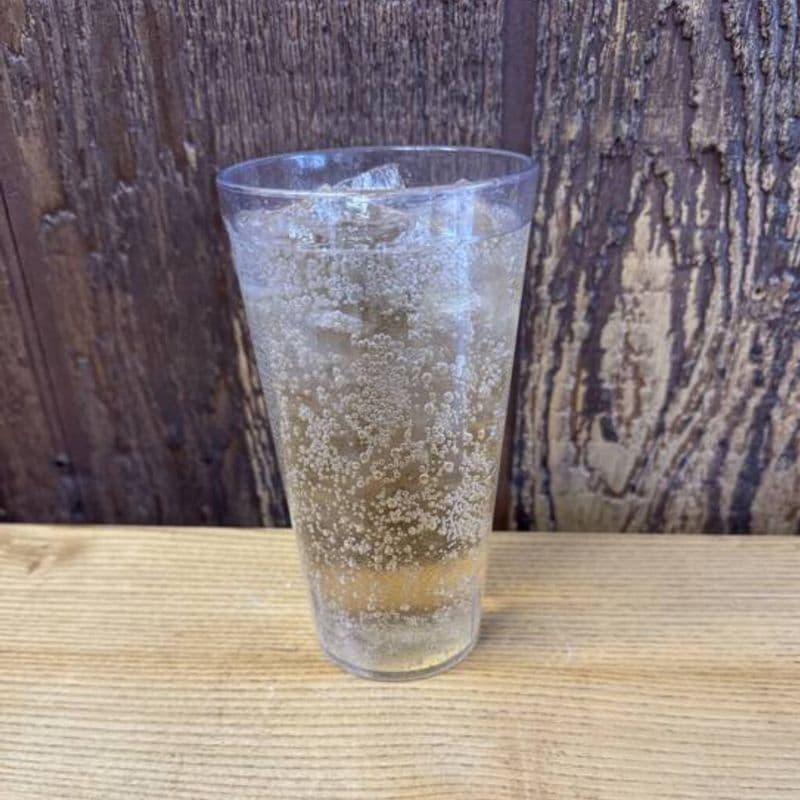 Fountain Canada Dry Ginger Ale