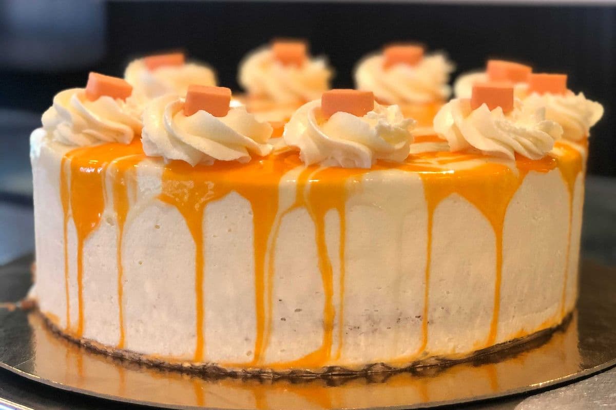 Orange Cream Cheesecake